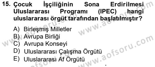 Sosyal Politika 2 Dersi 2012 - 2013 Yılı (Vize) Ara Sınav Soruları 15. Soru