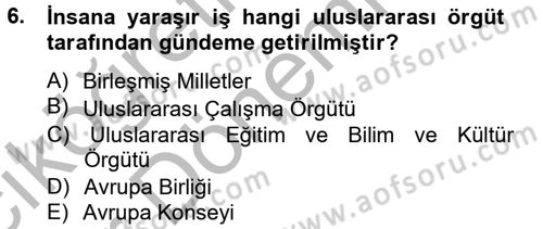 Sosyal Politika 2 Dersi 2012 - 2013 Yılı (Vize) Ara Sınav Soruları 6. Soru