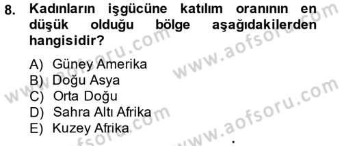 Sosyal Politika 2 Dersi 2012 - 2013 Yılı (Final) Dönem Sonu Sınav Soruları 8. Soru