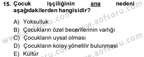 Sosyal Politika 2 Dersi 2013 - 2014 Yılı (Vize) Ara Sınav Soruları 15. Soru
