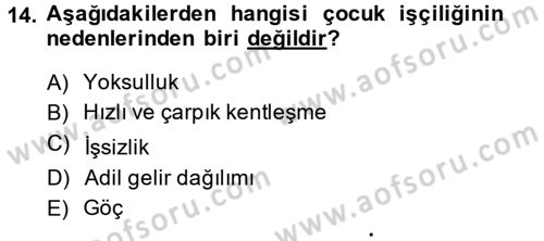 Sosyal Politika 2 Dersi 2014 - 2015 Yılı (Vize) Ara Sınav Soruları 14. Soru