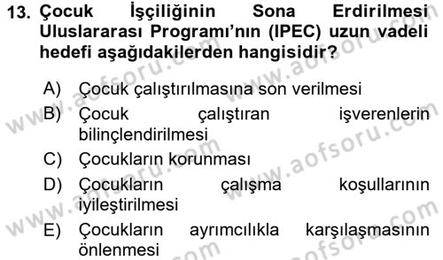 Sosyal Politika 2 Dersi 2016 - 2017 Yılı (Vize) Ara Sınav Soruları 13. Soru