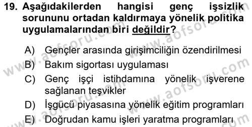 Sosyal Politika 2 Dersi 2016 - 2017 Yılı (Vize) Ara Sınav Soruları 19. Soru