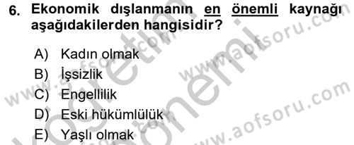 Sosyal Politika 2 Dersi 2016 - 2017 Yılı (Vize) Ara Sınav Soruları 6. Soru