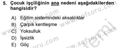 Sosyal Politika 2 Dersi 2016 - 2017 Yılı (Final) Dönem Sonu Sınav Soruları 5. Soru