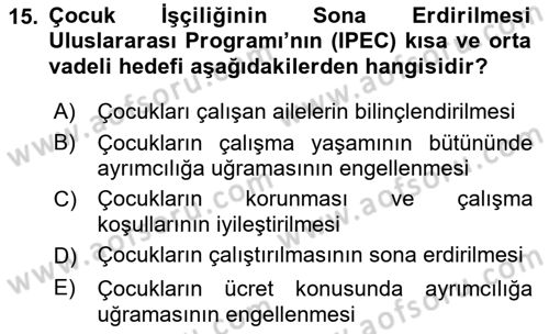 Sosyal Politika 2 Dersi 2018 - 2019 Yılı (Vize) Ara Sınav Soruları 15. Soru
