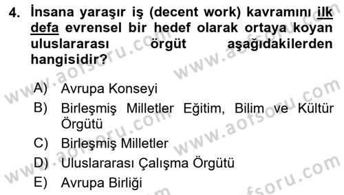 Sosyal Politika 2 Dersi 2018 - 2019 Yılı (Vize) Ara Sınav Soruları 4. Soru