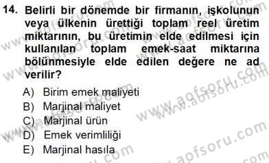 Çalışma Ekonomisi 1 Dersi Ara Sınavı Deneme Sınav Soruları 14. Soru