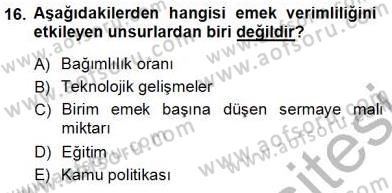 Çalışma Ekonomisi 1 Dersi Ara Sınavı Deneme Sınav Soruları 16. Soru