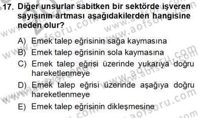 Çalışma Ekonomisi 1 Dersi Ara Sınavı Deneme Sınav Soruları 17. Soru