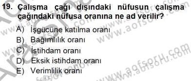 Çalışma Ekonomisi 1 Dersi Ara Sınavı Deneme Sınav Soruları 19. Soru