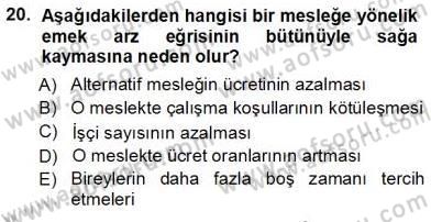 Çalışma Ekonomisi 1 Dersi Ara Sınavı Deneme Sınav Soruları 20. Soru