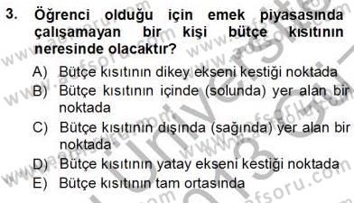 Çalışma Ekonomisi 1 Dersi Ara Sınavı Deneme Sınav Soruları 3. Soru
