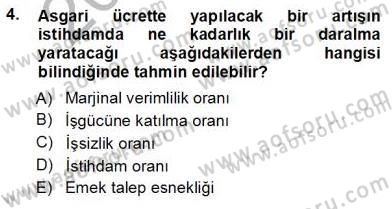 Çalışma Ekonomisi 1 Dersi Ara Sınavı Deneme Sınav Soruları 4. Soru