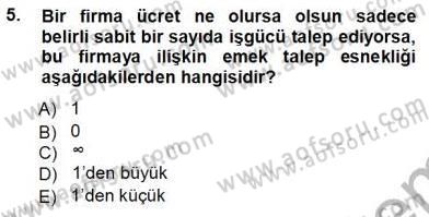 Çalışma Ekonomisi 1 Dersi Ara Sınavı Deneme Sınav Soruları 5. Soru