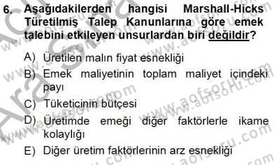 Çalışma Ekonomisi 1 Dersi Ara Sınavı Deneme Sınav Soruları 6. Soru