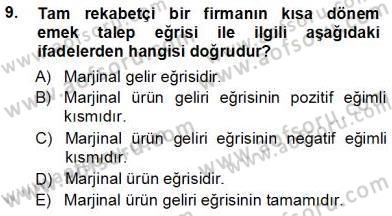 Çalışma Ekonomisi 1 Dersi Ara Sınavı Deneme Sınav Soruları 9. Soru
