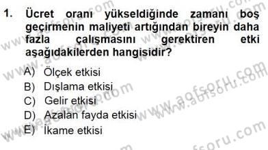 Çalışma Ekonomisi 1 Dersi 2012 - 2013 Yılı (Final) Dönem Sonu Sınav Soruları 1. Soru