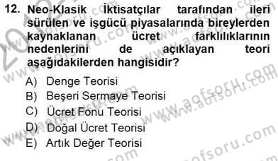 Çalışma Ekonomisi 1 Dersi 2012 - 2013 Yılı (Final) Dönem Sonu Sınav Soruları 12. Soru