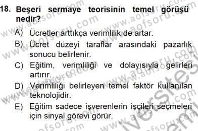 Çalışma Ekonomisi 1 Dersi 2012 - 2013 Yılı (Final) Dönem Sonu Sınav Soruları 18. Soru