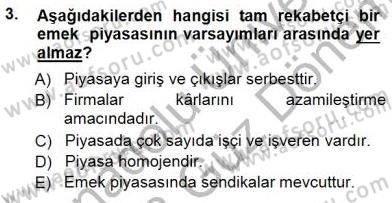 Çalışma Ekonomisi 1 Dersi 2012 - 2013 Yılı (Final) Dönem Sonu Sınavı 3. Soru