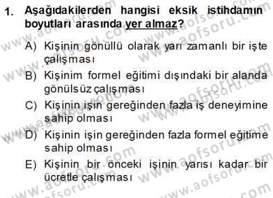 Çalışma Ekonomisi 1 Dersi Ara Sınavı Deneme Sınav Soruları 1. Soru