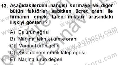 Çalışma Ekonomisi 1 Dersi Ara Sınavı Deneme Sınav Soruları 13. Soru