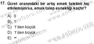 Çalışma Ekonomisi 1 Dersi Ara Sınavı Deneme Sınav Soruları 17. Soru