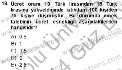 Çalışma Ekonomisi 1 Dersi Ara Sınavı Deneme Sınav Soruları 18. Soru