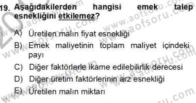 Çalışma Ekonomisi 1 Dersi Ara Sınavı Deneme Sınav Soruları 19. Soru