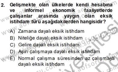 Çalışma Ekonomisi 1 Dersi Ara Sınavı Deneme Sınav Soruları 2. Soru