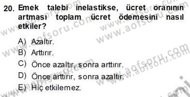 Çalışma Ekonomisi 1 Dersi Ara Sınavı Deneme Sınav Soruları 20. Soru