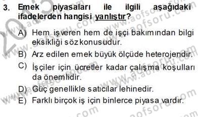 Çalışma Ekonomisi 1 Dersi Ara Sınavı Deneme Sınav Soruları 3. Soru