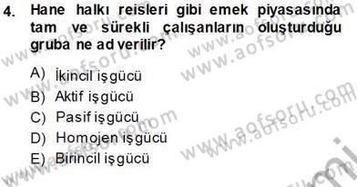 Çalışma Ekonomisi 1 Dersi Ara Sınavı Deneme Sınav Soruları 4. Soru