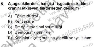 Çalışma Ekonomisi 1 Dersi Ara Sınavı Deneme Sınav Soruları 5. Soru