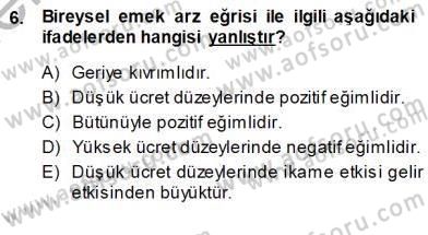 Çalışma Ekonomisi 1 Dersi 2013 - 2014 Yılı (Vize) Ara Sınav Soruları 6. Soru