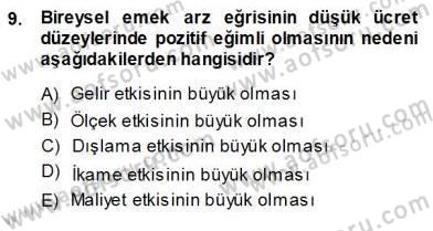 Çalışma Ekonomisi 1 Dersi Ara Sınavı Deneme Sınav Soruları 9. Soru