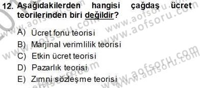 Çalışma Ekonomisi 1 Dersi 2013 - 2014 Yılı (Final) Dönem Sonu Sınav Soruları 12. Soru