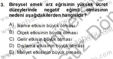 Çalışma Ekonomisi 1 Dersi 2013 - 2014 Yılı (Final) Dönem Sonu Sınav Soruları 3. Soru