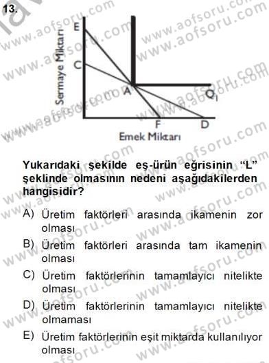 Çalışma Ekonomisi 1 Dersi 2014 - 2015 Yılı (Vize) Ara Sınav Soruları 13. Soru
