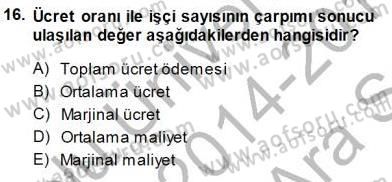 Çalışma Ekonomisi 1 Dersi 2014 - 2015 Yılı (Vize) Ara Sınav Soruları 16. Soru
