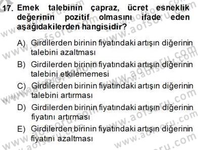 Çalışma Ekonomisi 1 Dersi 2014 - 2015 Yılı (Vize) Ara Sınav Soruları 17. Soru