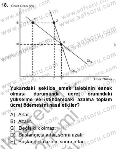 Çalışma Ekonomisi 1 Dersi 2014 - 2015 Yılı (Vize) Ara Sınav Soruları 18. Soru