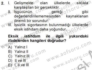Çalışma Ekonomisi 1 Dersi 2014 - 2015 Yılı (Vize) Ara Sınav Soruları 2. Soru