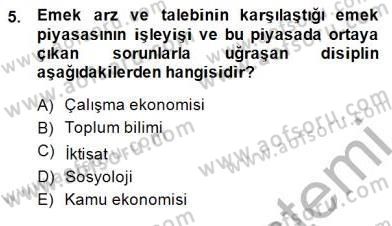 Çalışma Ekonomisi 1 Dersi 2014 - 2015 Yılı (Vize) Ara Sınav Soruları 5. Soru