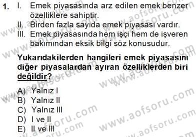 Çalışma Ekonomisi 1 Dersi 2014 - 2015 Yılı (Final) Dönem Sonu Sınav Soruları 1. Soru