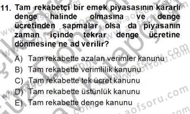 Çalışma Ekonomisi 1 Dersi 2014 - 2015 Yılı (Final) Dönem Sonu Sınav Soruları 11. Soru