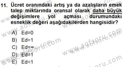 Çalışma Ekonomisi 1 Dersi Ara Sınavı Deneme Sınav Soruları 11. Soru