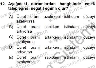 Çalışma Ekonomisi 1 Dersi Ara Sınavı Deneme Sınav Soruları 12. Soru