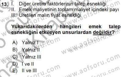 Çalışma Ekonomisi 1 Dersi Ara Sınavı Deneme Sınav Soruları 13. Soru